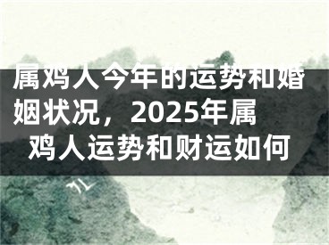 属鸡人今年的运势和婚姻状况,2025年属鸡人运势和财运如何