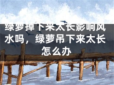 绿萝掉下来太长影响风水吗，绿萝吊下来太长怎么办
