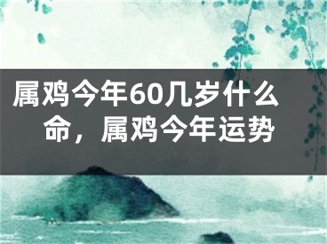 属鸡今年60几岁什么命，属鸡今年运势