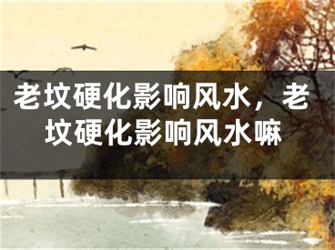 老坟硬化影响风水，老坟硬化影响风水嘛