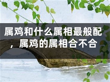 属鸡和什么属相最般配，属鸡的属相合不合