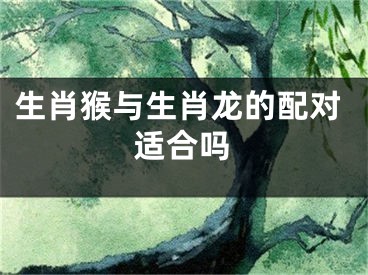 生肖猴与生肖龙的配对适合吗
