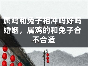 属鸡和兔子相冲吗好吗婚姻，属鸡的和兔子合不合适