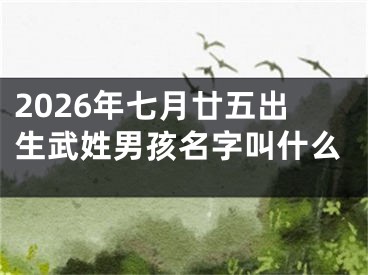 2026年七月廿五出生武姓男孩名字叫什么