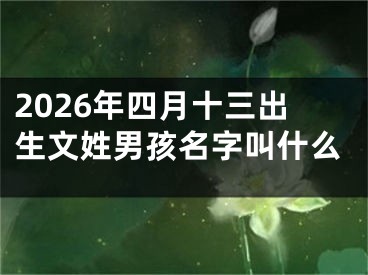 2026年四月十三出生文姓男孩名字叫什么
