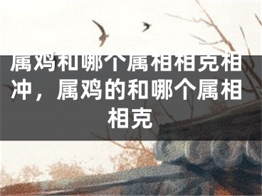 属鸡和哪个属相相克相冲，属鸡的和哪个属相相克