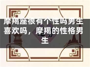 摩羯座很有个性吗男生喜欢吗，摩羯的性格男生
