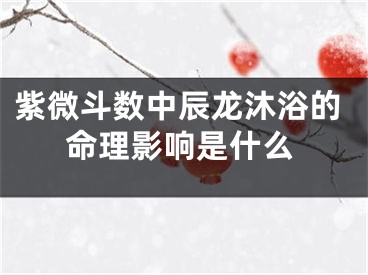 紫微斗数中辰龙沐浴的命理影响是什么