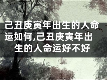 己丑庚寅年出生的人命运如何,己丑庚寅年出生的人命运好不好