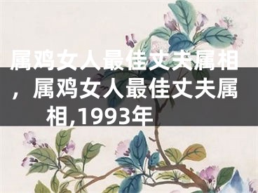 属鸡女人最佳丈夫属相，属鸡女人最佳丈夫属相,1993年
