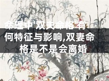 命理中'双夫命格'有何特征与影响,双妻命格是不是会离婚