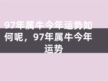 97年属牛今年运势如何呢，97年属牛今年运势