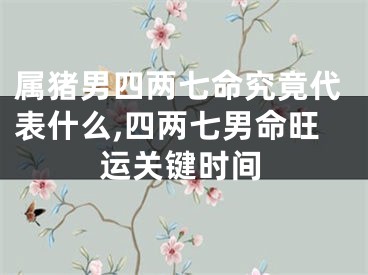 属猪男四两七命究竟代表什么,四两七男命旺运关键时间