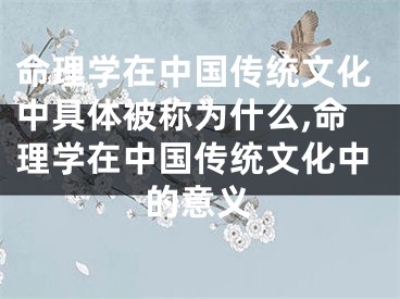 命理学在中国传统文化中具体被称为什么,命理学在中国传统文化中的意义