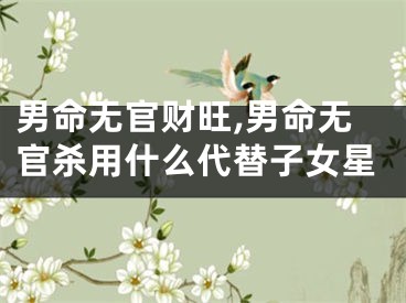 男命无官财旺,男命无官杀用什么代替子女星