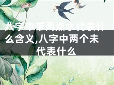 八字中带两点水代表什么含义,八字中两个未代表什么