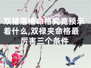 双猪落槽命格究竟预示着什么,双禄夹命格最厉害三个条件