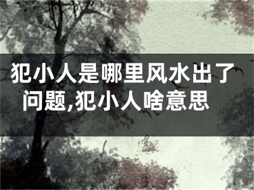 犯小人是哪里风水出了问题,犯小人啥意思