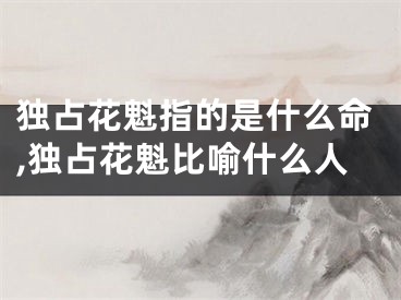 独占花魁指的是什么命,独占花魁比喻什么人