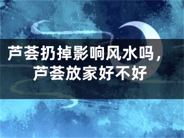 芦荟扔掉影响风水吗，芦荟放家好不好