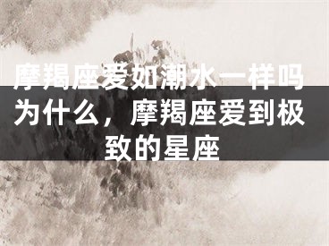 摩羯座爱如潮水一样吗为什么，摩羯座爱到极致的星座