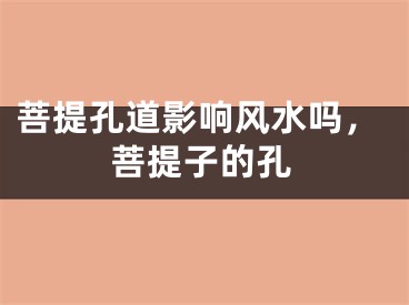 菩提孔道影响风水吗，菩提子的孔