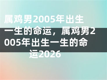 属鸡男2005年出生一生的命运，属鸡男2005年出生一生的命运2026