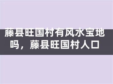 藤县旺国村有风水宝地吗，藤县旺国村人口