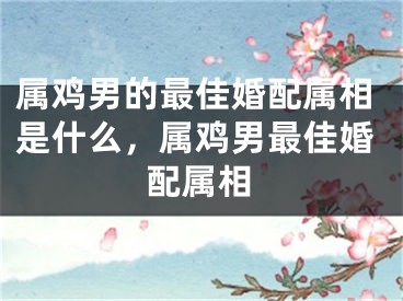 属鸡男的最佳婚配属相是什么，属鸡男最佳婚配属相