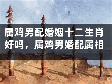 属鸡男配婚姻十二生肖好吗，属鸡男婚配属相