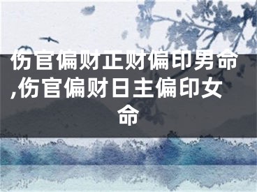 伤官偏财正财偏印男命,伤官偏财日主偏印女命