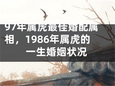 97年属虎最佳婚配属相，1986年属虎的一生婚姻状况