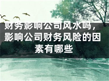 财务影响公司风水吗，影响公司财务风险的因素有哪些
