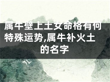 属牛壁上土女命格有何特殊运势,属牛补火土的名字