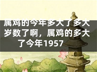 属鸡的今年多大了多大岁数了啊，属鸡的多大了今年1957