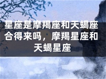 星座是摩羯座和天蝎座合得来吗，摩羯星座和天蝎星座