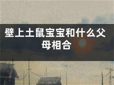 壁上土鼠宝宝和什么父母相合