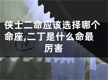 侠士二命应该选择哪个命座,二丁是什么命最厉害