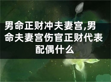 男命正财冲夫妻宫,男命夫妻宫伤官正财代表配偶什么