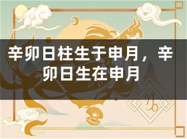 辛卯日柱生于申月，辛卯日生在申月