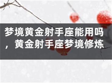 梦境黄金射手座能用吗,黄金射手座梦境修炼