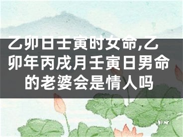 乙卯日壬寅时女命,乙卯年丙戌月壬寅日男命的老婆会是情人吗