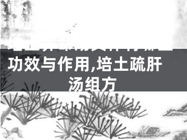 培土养命汤具体有哪些功效与作用,培土疏肝汤组方