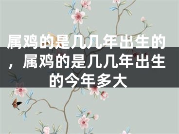 属鸡的是几几年出生的，属鸡的是几几年出生的今年多大