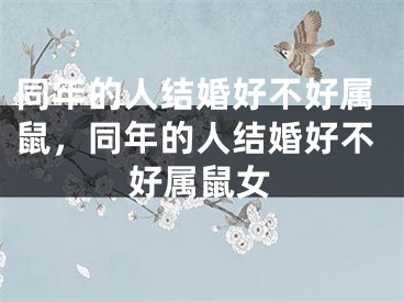 同年的人结婚好不好属鼠，同年的人结婚好不好属鼠女