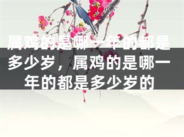属鸡的是哪一年的都是多少岁，属鸡的是哪一年的都是多少岁的