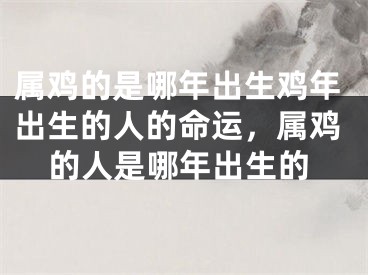属鸡的是哪年出生鸡年出生的人的命运，属鸡的人是哪年出生的