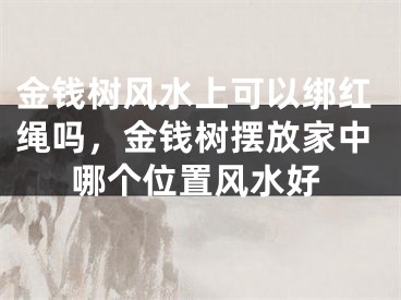 金钱树风水上可以绑红绳吗,金钱树摆放家中哪个位置风水好