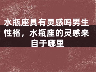 水瓶座具有灵感吗男生性格，水瓶座的灵感来自于哪里