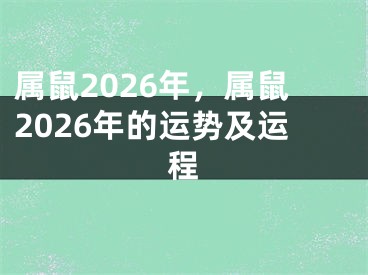属鼠2026年，属鼠2026年的运势及运程